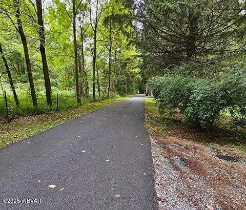 68 Sassafras Ln, Waterville, PA 17776 - view of road featuring a view of trees