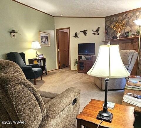 68 Sassafras Ln, Waterville, PA 17776 - living area with lofted ceiling, ornamental molding, and carpet