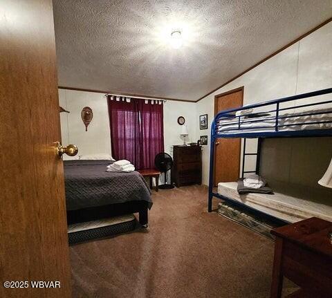 68 Sassafras Ln, Waterville, PA 17776 - carpeted bedroom with a textured ceiling and lofted ceiling