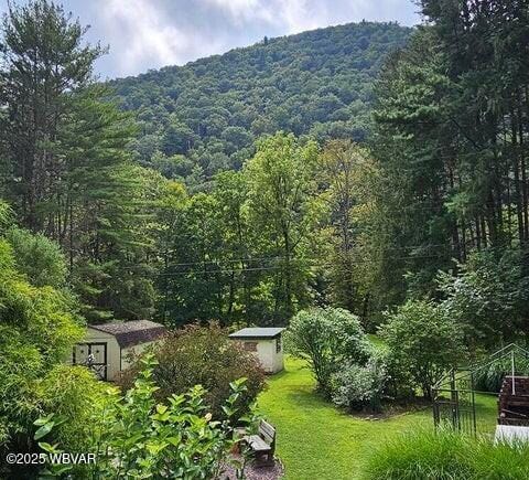 68 Sassafras Ln, Waterville, PA 17776 - exterior space with a wooded view
