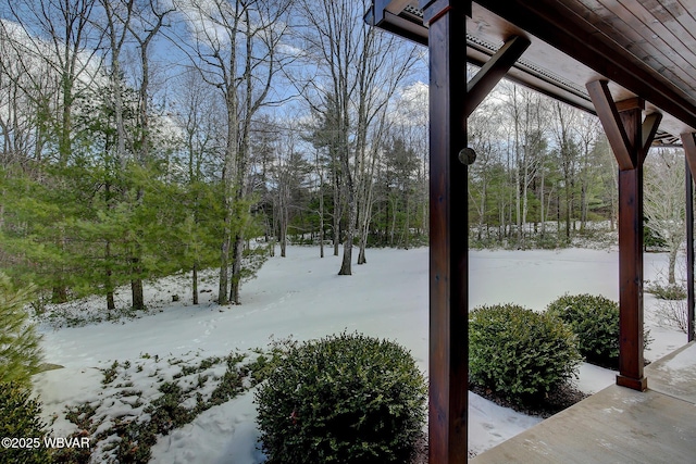 view of snowy yard