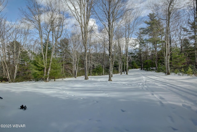 view of snowy yard