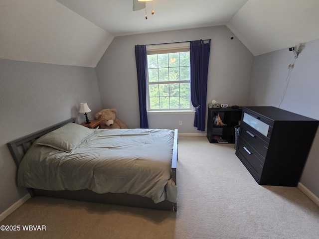 240 Cochise Trl, Lock Haven, PA 17745 - photo 53