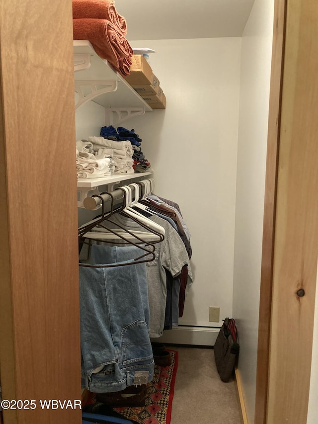 walk in closet featuring carpet flooring