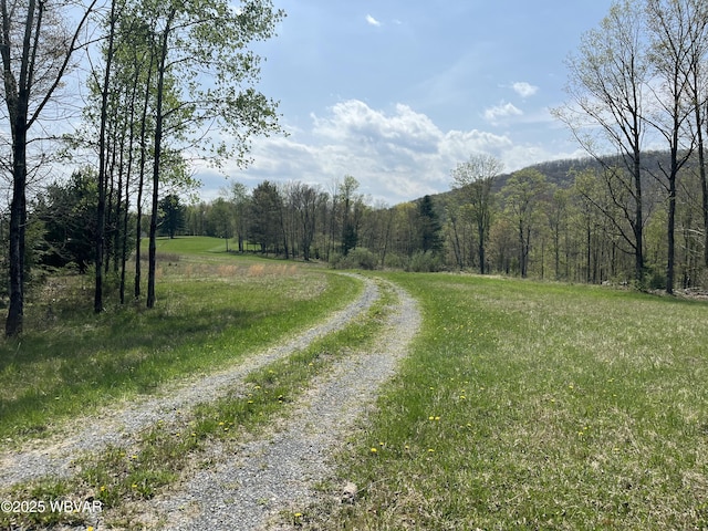 10793 Rose Valley Rd, Trout Run, PA 17771 - photo 10