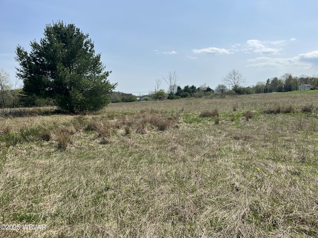 10793 Rose Valley Rd, Trout Run, PA 17771 - photo 12