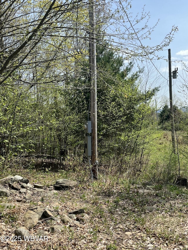 10793 Rose Valley Rd, Trout Run, PA 17771 - photo 8