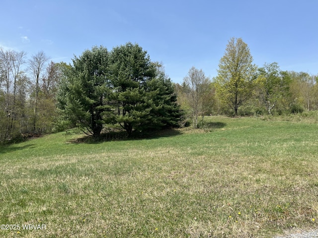 10793 Rose Valley Rd, Trout Run, PA 17771 - photo 11