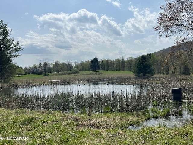 10793 Rose Valley Rd, Trout Run, PA 17771 - photo 13