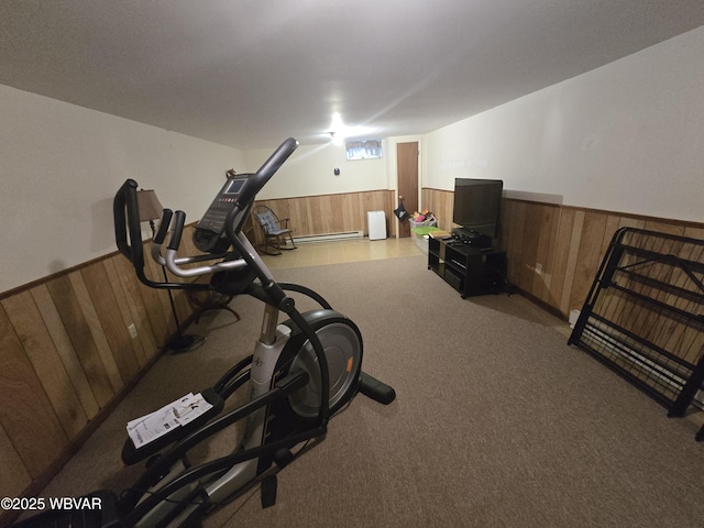 131 Walnut Ln, Jersey Shore, PA 17740 - exercise area featuring wainscoting, wooden walls, and carpet flooring