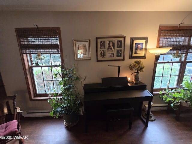 131 Walnut Ln, Jersey Shore, PA 17740 - office area featuring wood finished floors and a baseboard radiator