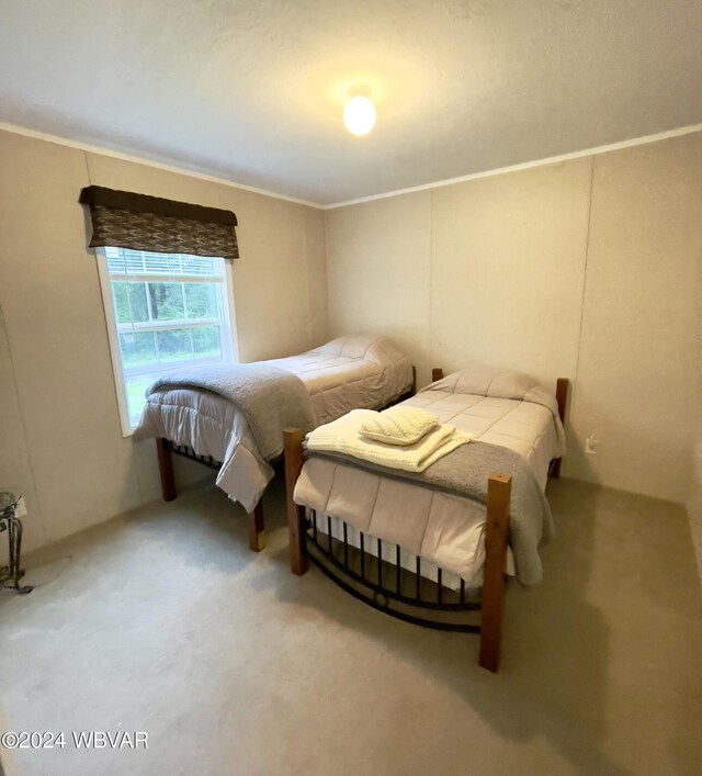 carpeted bedroom featuring crown molding