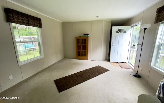 foyer entrance featuring a wealth of natural light and light carpet