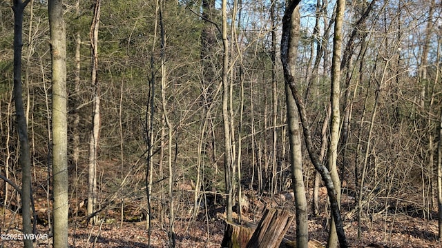 view of landscape with a wooded view