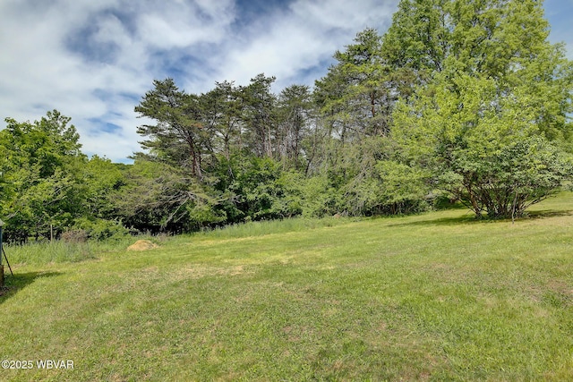 443 Derr Hill Rd, Lock Haven, PA 17745 - view of grassy yard featuring a view of trees