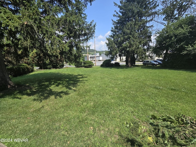 1459 Allegheny St, Jersey Shore, PA 17740 - photo 2