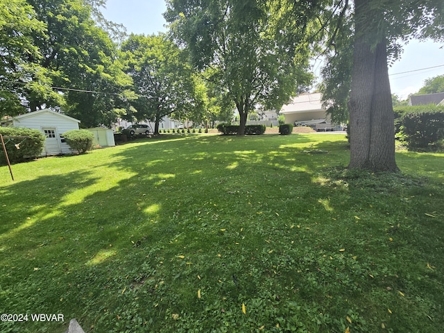 view of yard with an outdoor structure