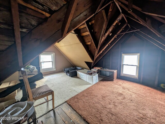 335 George St S, Williamsport, PA 17702 - photo 28