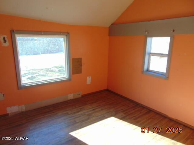 spare room with lofted ceiling, dark hardwood / wood-style floors, and plenty of natural light