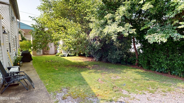 123 Broad St, Watsontown, PA 17777 - view of grassy yard