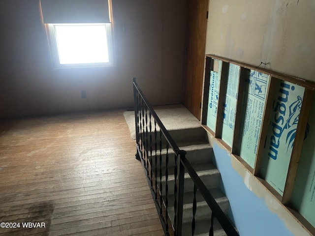 staircase with wood-type flooring