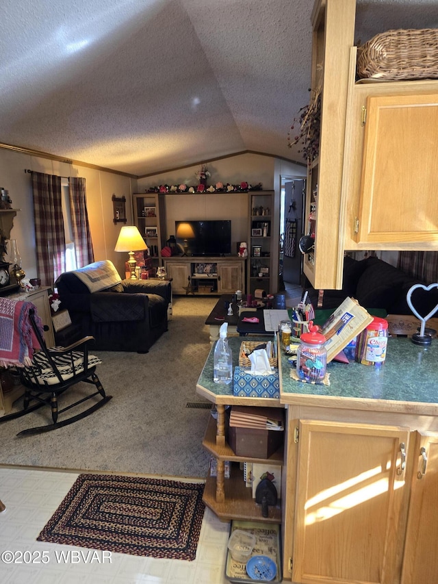 interior space with vaulted ceiling and a textured ceiling