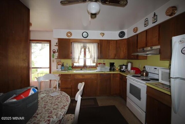 1714 Princeton Ave, Williamsport, PA 17701 - kitchen with white appliances, under cabinet range hood, light countertops, ceiling fan, and a sink