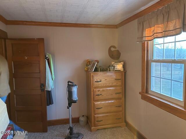 carpeted bedroom featuring crown molding