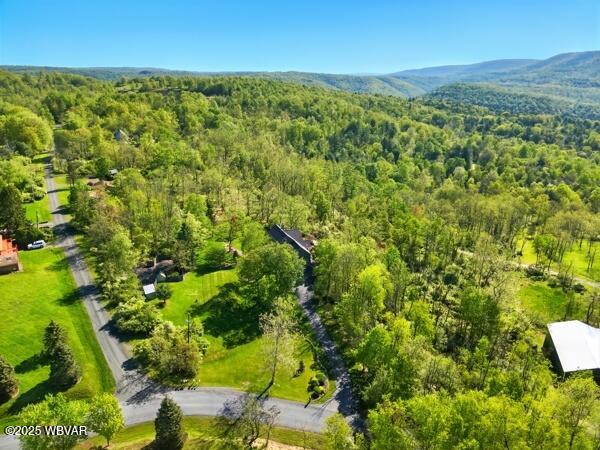 410 Sky Meadow Rd, Muncy Valley, PA 17758 - photo 45