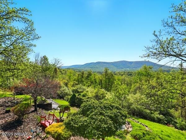 410 Sky Meadow Rd, Muncy Valley, PA 17758 - photo 49