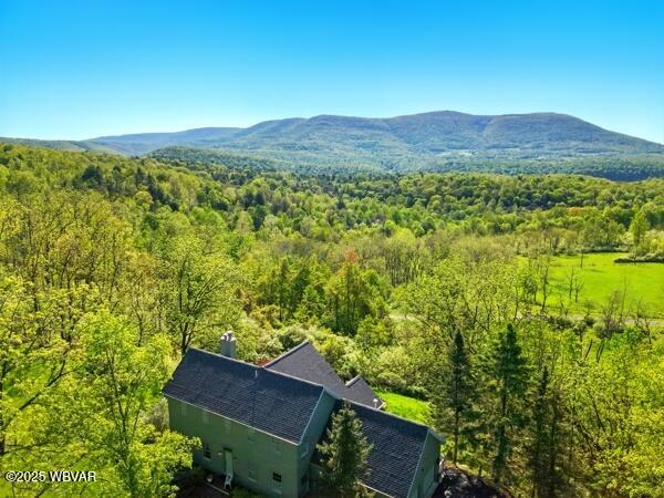 410 Sky Meadow Rd, Muncy Valley, PA 17758 - photo 48