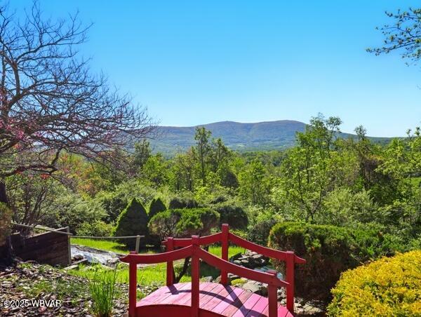 410 Sky Meadow Rd, Muncy Valley, PA 17758 - photo 42