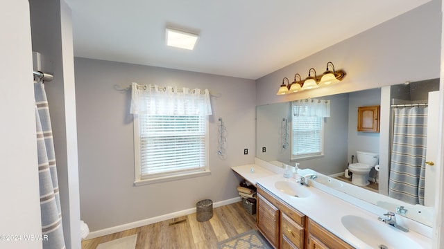 bathroom featuring vanity, wood-type flooring, and toilet