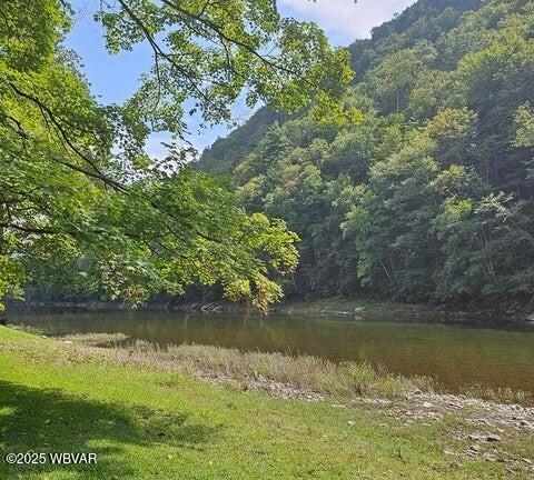 68 Sassafras Ln, Waterville, PA 17776 - photo 3