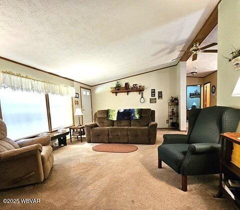 68 Sassafras Ln, Waterville, PA 17776 - photo 22