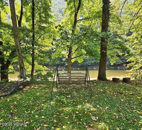 68 Sassafras Ln, Waterville, PA 17776 - photo 4