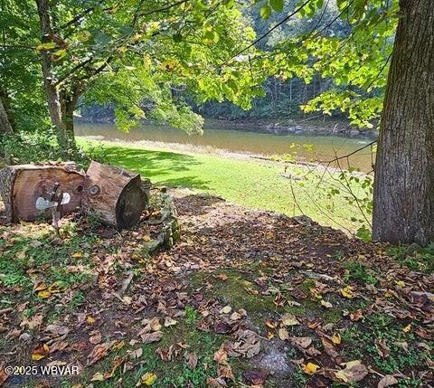 68 Sassafras Ln, Waterville, PA 17776 - photo 6