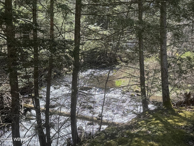 water view with a view of trees