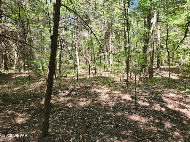 1146 Eagle Rock Rd, Dushore, PA 18614 - photo 11