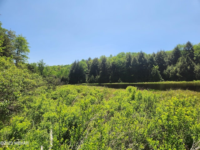 1146 Eagle Rock Rd, Dushore, PA 18614 - photo 12