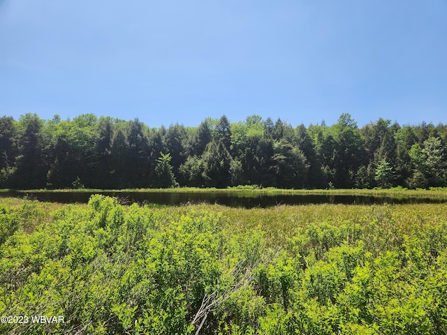1146 Eagle Rock Rd, Dushore, PA 18614 - photo 13