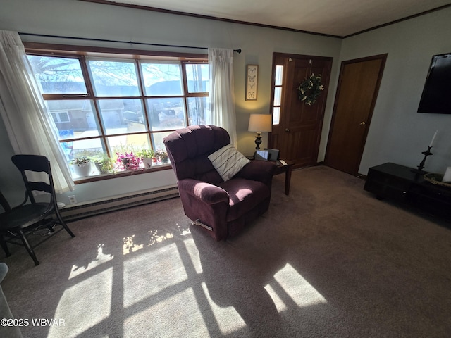 carpeted living area featuring ornamental molding