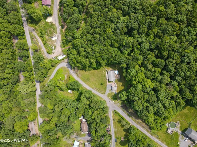 37 Shinndig Ln, Mill Hall, PA 17751 - photo 23