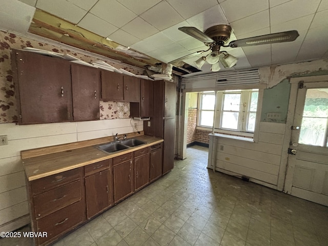 877-879 S 2nd St, Sunbury, PA 17801 - kitchen featuring a sink, light flooring, a ceiling fan, and healthy amount of natural light