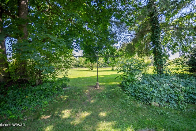 105 Cherry Tree Ln, Turbotville, PA 17772 - photo 33