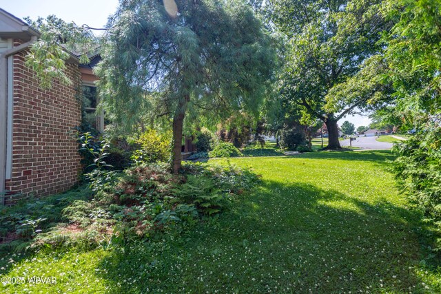 105 Cherry Tree Ln, Turbotville, PA 17772 - photo 19