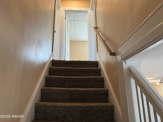 2206 Cummings St, Williamsport, PA 17701 - photo 25