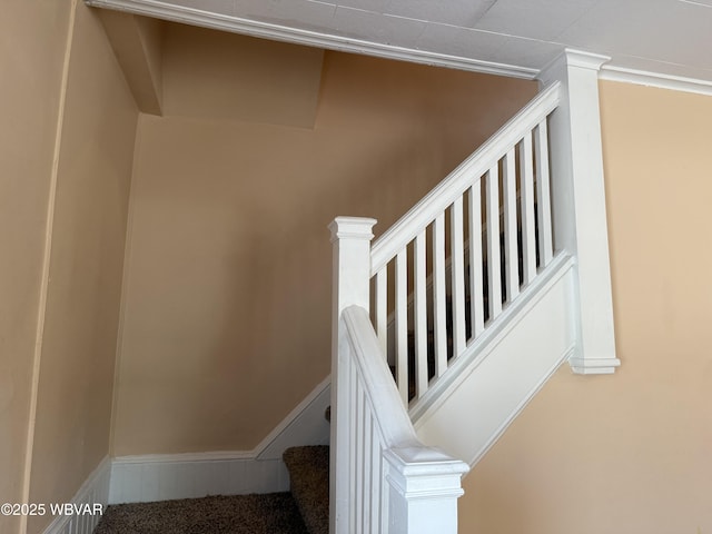 2206 Cummings St, Williamsport, PA 17701 - photo 24