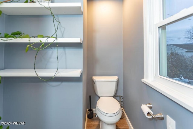 bathroom featuring wood-type flooring and toilet