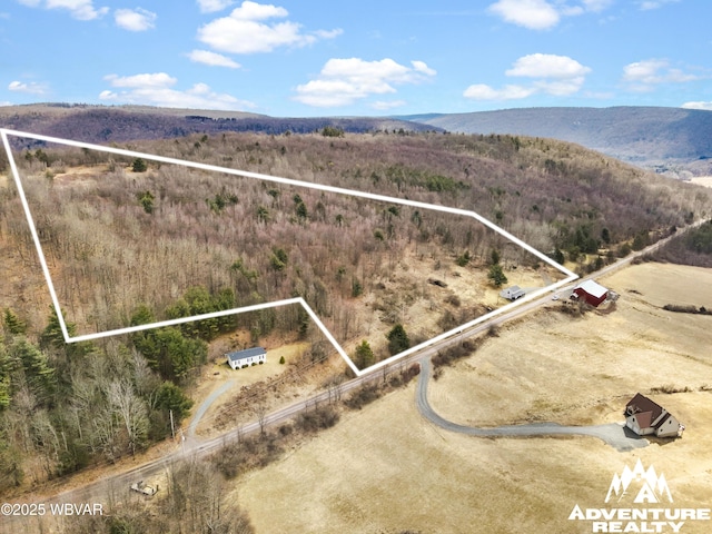 aerial view with a mountain view and a rural view